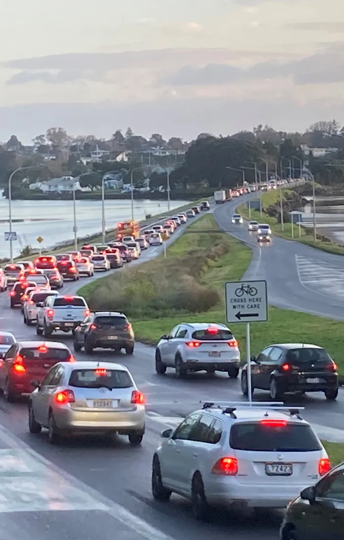 PROGRAMME &
 PROJECT SERVICES